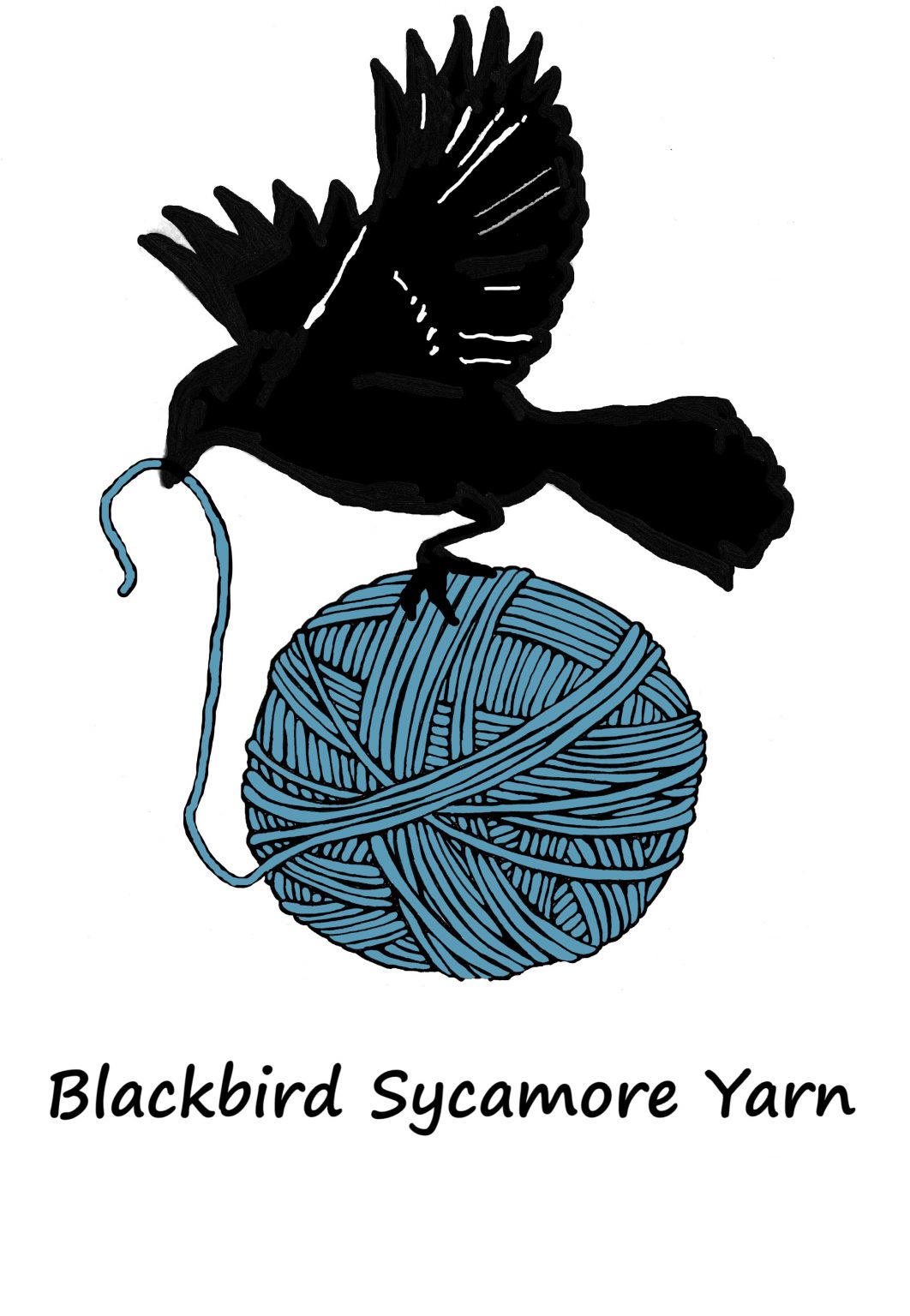 Blackbird Sycamore